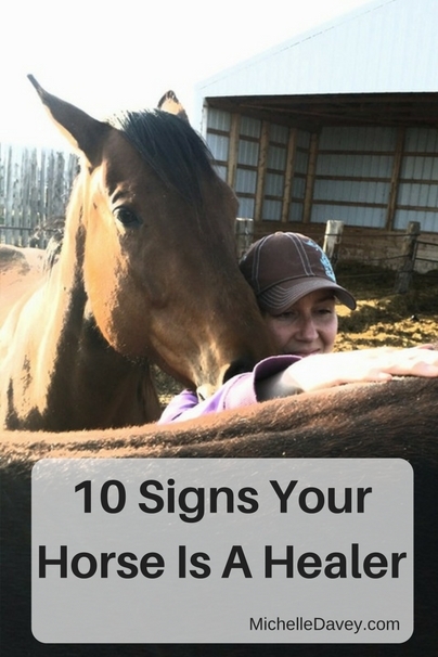 10 Signs your horse is a healer and how to know when he's doing it. 