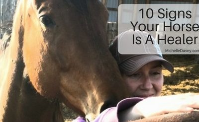 10 Signs Your Horse Is A Healer