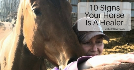 10 Signs Your Horse Is A Healer