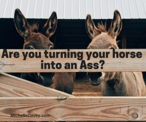 Are you turning your horse into an ass?