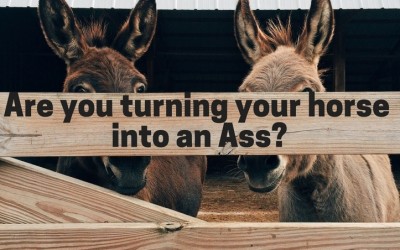 Are You Turning Your Horse Into An Ass?