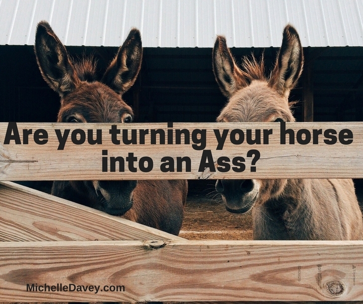 Are You Turning Your Horse Into An Ass?