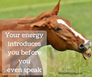 How much negative energy are you taxing your horse with? Learn how to shed some of this before going to the barn. 