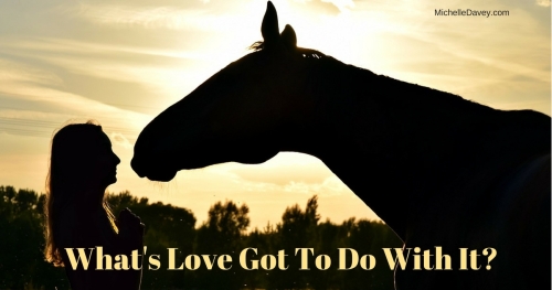 What’s Love Got To Do With It?