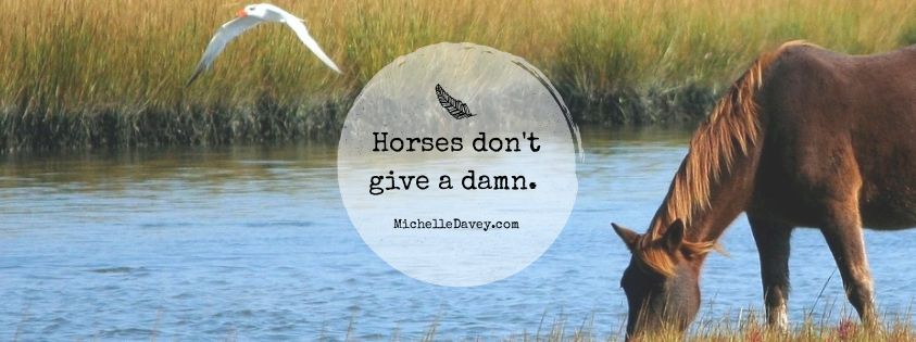 Horses Don’t Give A Damn