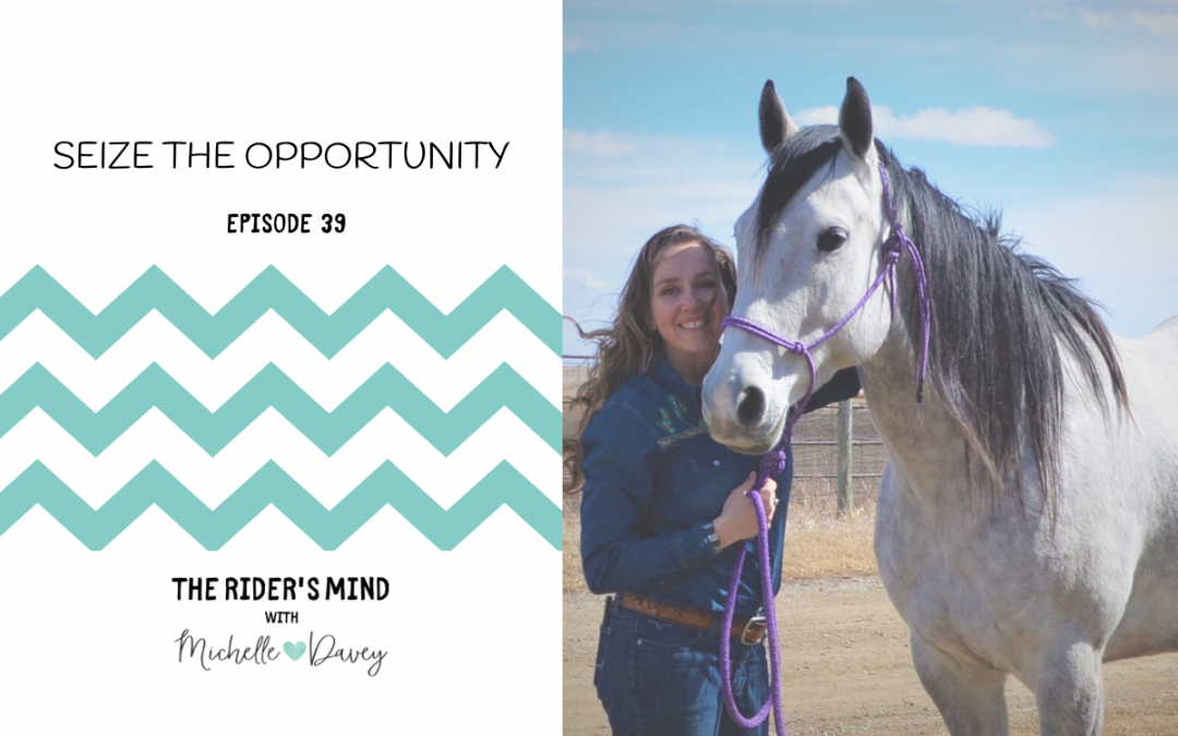 Episode 39: Seize the Opportunity