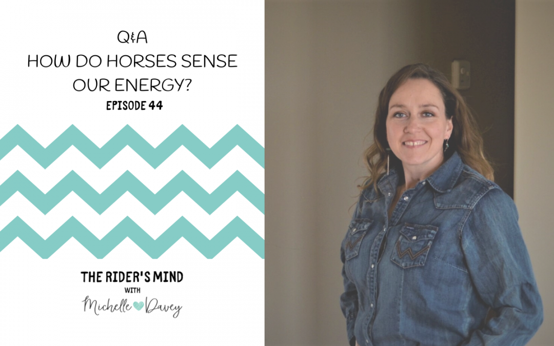 Episode 44: Q&A – How do horses sense our energy?