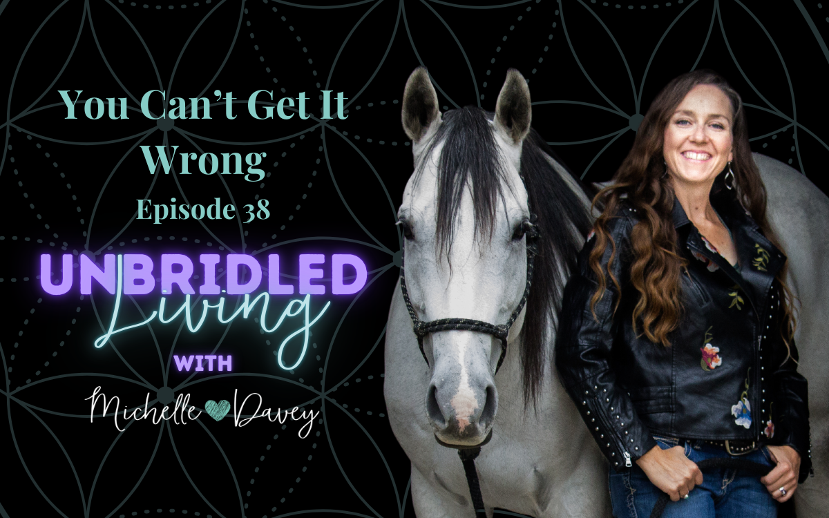 Michelle is standing next to her horse smiling. Text on the image reads: You Can’t Get It Wrong Episode 38 Unbridled Living with Michell Davey