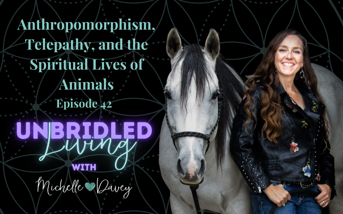 Michelle is standing next to her horse smiling. Text on the image reads: Anthropomorphism, Telepathy, and the Spiritual Lives of Animals Episode 42 Unbridled Living with Michell Davey